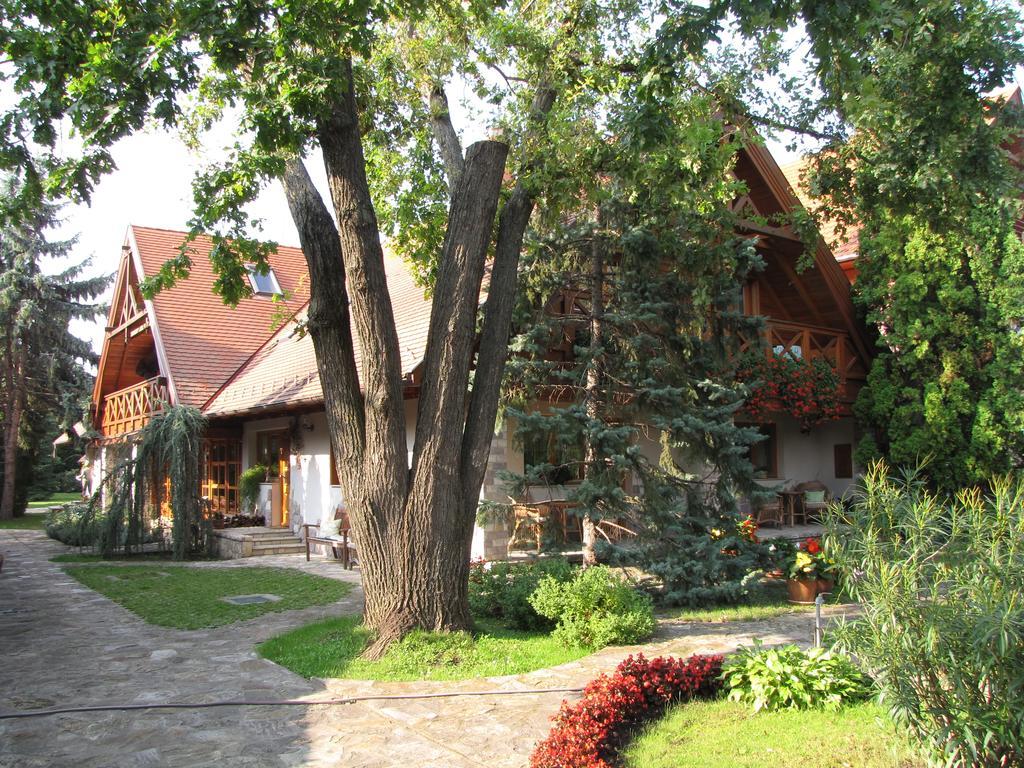 Toelgyes Apartment Hajdúszoboszló Rum bild